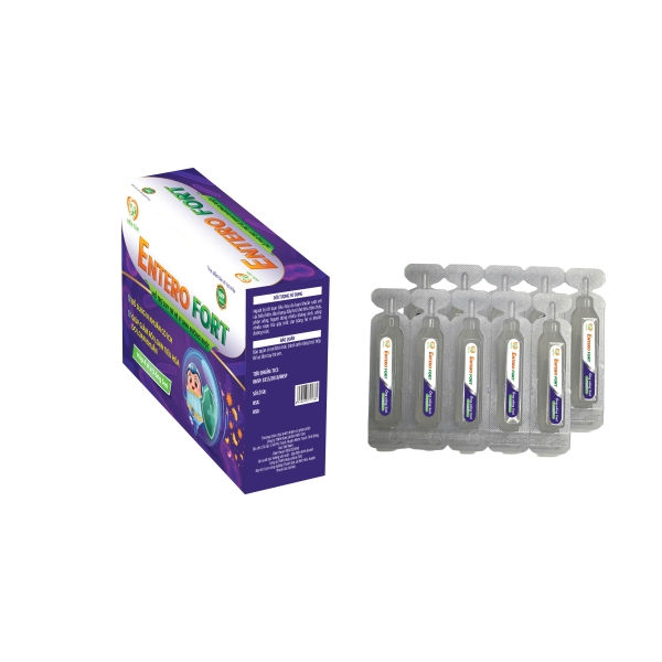 Hỗ trợ duy trì hệ vi sinh đường ruột ENTERO FORT