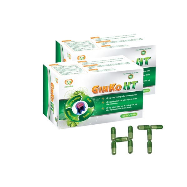 Hỗ trợ tăng cường tuần hoàn não GINKO HT